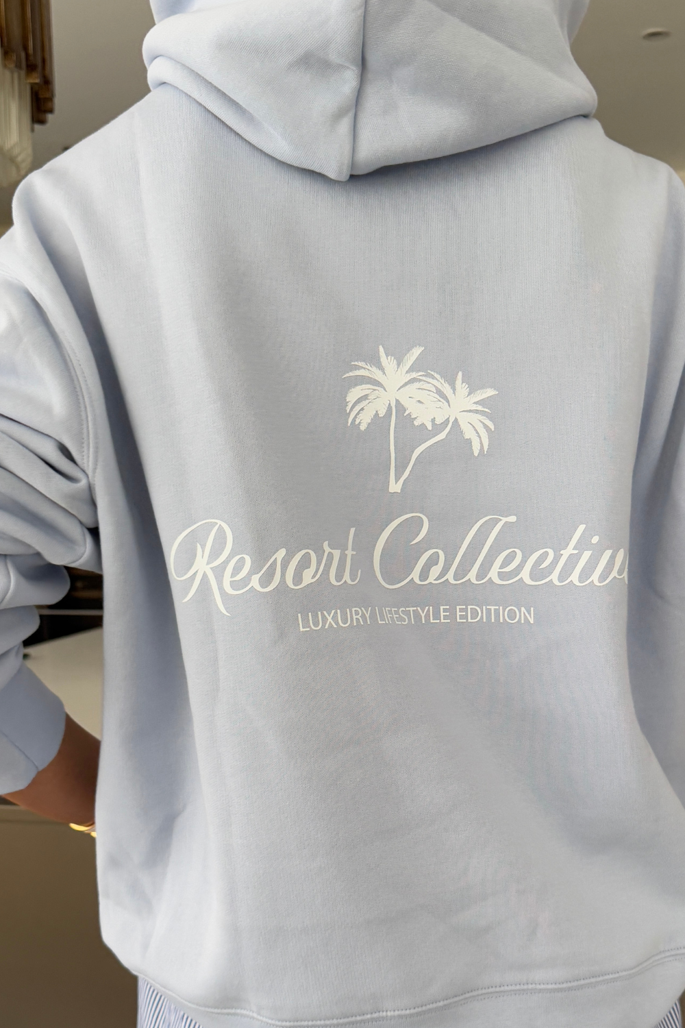 Palm baby blue printed relaxed hoodie - Resort Collective